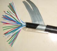 PTYA22，PTY22，PTYV信號電纜